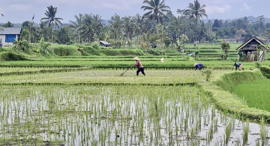 Groepsreis fietstocht Bali
